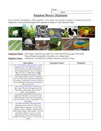 What criteria are used to place organisms into their domains and kingdoms? Kingdom Classification Worksheet