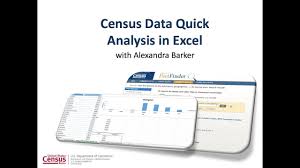 analyzing census data in excel