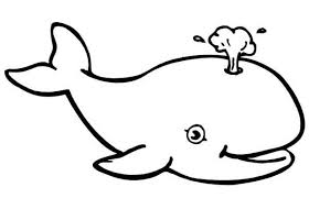 Some of the colouring page names are whale coloring for kids supplyme, 9 baleen whales coloring in vector format easy to from any device, whale shark coloring in 2020 shark coloring whale shark fish coloring, blue whale coloring at colorings to and color, big whale coloring, 247 dessins de coloriage baleine imprimer sur 5, super big blue. A Laughing Killer Whale Coloring Page Netart