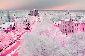 Image about pink in aesthetic. Beautiful Pink Scenery Winter Inspiring Picture On Favim Com