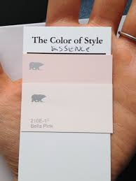 My Essence Colors Zyla Delicate Blush And Bella Pink Deep Winter Colors Color Analysis Cool Undertones