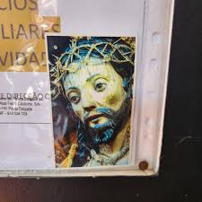 Scenes from Ponta Delgada, Aćorces. #family #Portuguese #islandlife