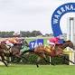 Grand Annual Day 2026 | Warrnambool May Racing event image