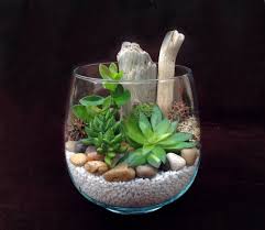 Terrarium Plantes Grasses Artificielles H14 5 Celia Terrario Terrario De Suculentas Jardim De Suculentas