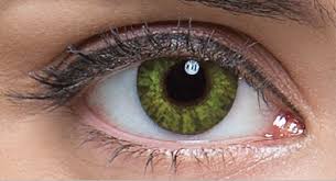 Elegance Freshcolors Olive Gemstone Green Ck Optik Gozluk Magazalari