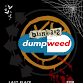 Dumpweed - Blink 182 Tribute event image