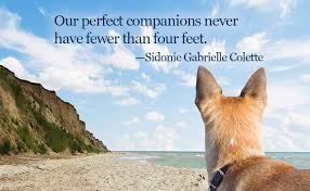 And a little child shall lead them. Prayers Lead To Happy Life For Shelter Dog Guideposts