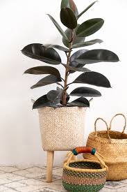How to stake a plant. Alice And Loisdiy Basket Plant Stand Alice And Lois