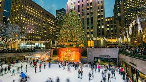 Best Christmas Trees To See In Nyc