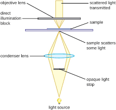 Instruments Of Microscopy Microbiology