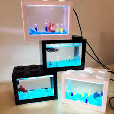 Fish tank with light and grass and small rock. Desktop Fish Tank For Sale Ebay