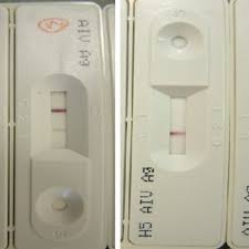 Pdf Evaluation Of Rapid Detection Kit Against Avian Influenza A Virus And H5 Subtype For Field Sample