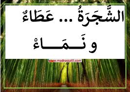 أقوال و حكم حول الشجرة قيمة الشجرة فوائد الشجرة موقع مدرستي