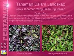 Ini adalah nama yang cocok untuk sebuah buku yang menceritakan bagaimana alam semesta menjadi ada. Landskap