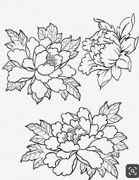 Black And White Outline Flower Tattoo Designs Flowers Peony Flowers Tattoos Tattoosforwomen Floraltattoo Japaneseflower Japanesetattoos Japanese Flower Tattoo Peony Flower Tattoos Flower Drawing