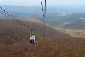 Image result for Hakkoda Walk