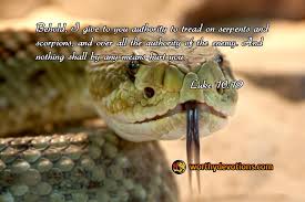 Beware of Snakes! - Worthy Christian Devotions - Daily Devotional