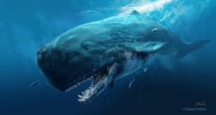 Image Result For Livyatan Melvillei Prehistoric Animals Extinct Animals Animals