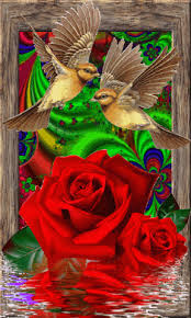 Beautiful Birds And Flowers Wallpaper Https Encrypted Tbn0 Gstatic Com Images Q Tbn 3aand9gcrexk8fyd Z Vo96zcvwpvjzl9lxlsdivfgfa Usqp Cau