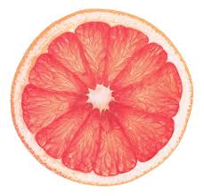 Pink Grapefruit Slice High Definition Stock Photo Vegetable Slice Grapefruit Stock Photos