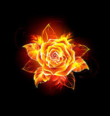 Download burning rose tattoo vector art. Flaming Rose Vector Images Over 870