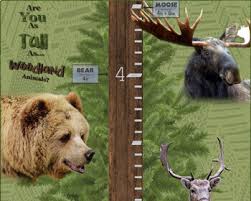 Woodland Animal Height Chart