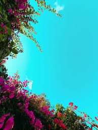 Spring mountains trees flowering beautiful clouds. Best Spring 4k Wallpaper Iphone Free Download