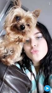 Lost dog in Westchester County area