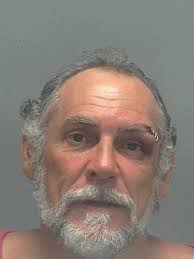 Lee County Arrests 4/3