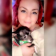 Best chicken pot pie in Will County￼