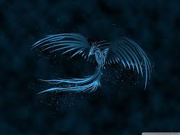Blue Phoenix Hd Desktop Wallpaper Widescreen Mobile Dual Monitor Phoenix Wallpaper Bird Wallpaper Mobile Wallpaper