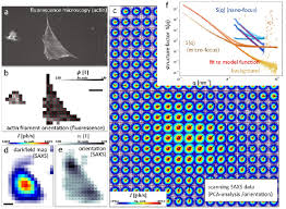 The 2018 Correlative Microscopy Techniques Roadmap Iopscience