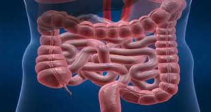 La diverticolosi del colon non è una malattia, ma è una situazione che si verifica nel corso degli anni per la quale il colon presenta varie estroflessioni della mucosa intestinale attraverso la parete. Papa Francesco Ricoverato Al Gemelli Per Sottoporsi Ad Un Intervento Chirurgico