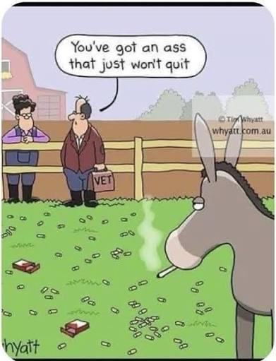 butt jokes