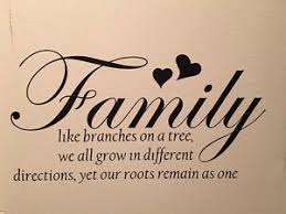 All happy families are alike; Family Like Branches On A Tree Vinyl Wall Art Decal Sticker Wall Quote Ebay