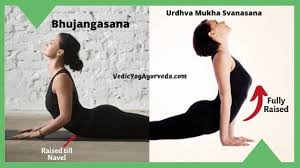Urdhva Mukha Svanasana And Bhujangasana Images Comparison Yoga Poses For Beginners Yoga For Beginners Poses