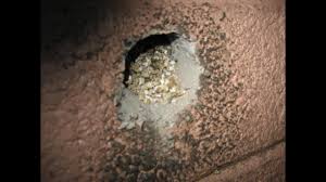 This insulation was sold in canada under the this mine had a natural deposit of asbestos which resulted in the vermiculite being contaminated with asbestos. Vermiculite Insulation Asbestos Hazards Youtube
