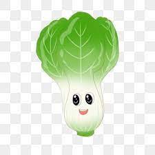 Kandungan manfaat dan khasiatnya seperti sayuran hijau yang lain. Kubis Sayur Ilustrasi Kartun Ilustrasi Yang Dilukis Dengan Tangan Ilustrasi Sayur Sayuran Tangan Ditarik Sayur Sayuran Sayur Sayuran Segar Kub à¸œ à¸ à¸‡à¸²à¸™à¸ à¸¡ à¸­ à¸¡ à¸­