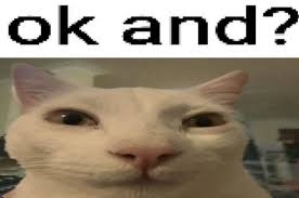 Devious Cat | :P . . . . . . . . . . . . #cursedcats #cursedcat  #animalmemes #sadcats #catlife #bongocat #catfeatures #cats_of_world  #catloversclub... | Instagram