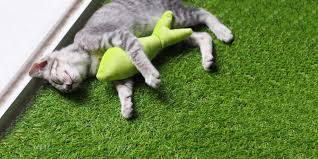 Artificial grass for canada area homes and businesses. Artificial Grass For Cats Safe Clean Pet Friendly