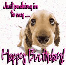 Make sure to explore the rest of our birthday quotes and wishes by following the links below. Dog Birthday Gifs Tenor