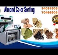 Almond Color Sorter Machine 9409150555 - YouTube
