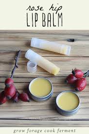 The most moisturizing lip balm for your kisser is one that includes raw shea butter. Rose Hip Lip Balm For Soothing Dry Lips
