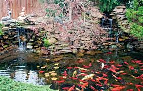 Here is a great article to help you decided what fish to get for. Tips For Farm Pond Design In Your Backyard Countryside