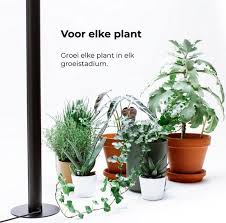 pin op kamerplanten