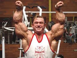 rules of arms workout by lee priest
