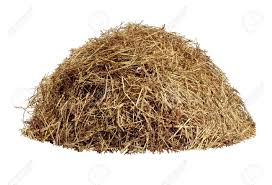 Tas De Foin Isole Sur Un Fond Blanc Comme Une Ferme D Agriculture Et Le Symbole De L Agriculture De Temps De Recolte Avec L Herbe Seche De La Paille Comme Une M Foin