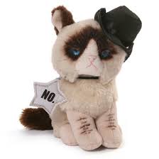 Jolene lolcats lol cat memes funny. Grumpy 5 Cowboy Beanbag Mylittlebrownie