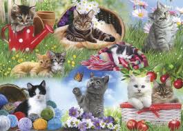 Dementia can affect cats just as it affects humans. Cats Dementia Puzzle Gibsons Jigsaws