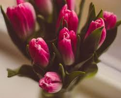 Who delivers flowers to ireland. Weekly Monthly Flower Bouquet Delivery L Flower Subscriptions Ireland